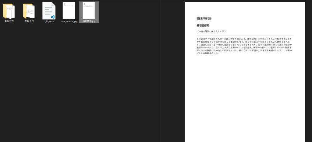 変換元PDFのプレビュー1