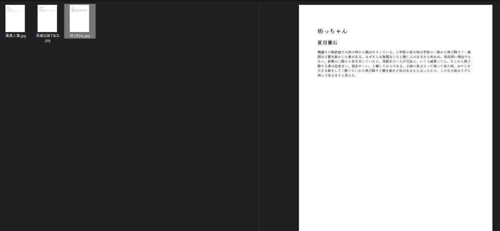 変換元PDFのプレビュー2